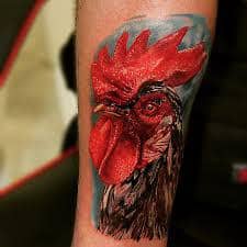 Emily Roz  Cockfight  Cute animal tattoos Rooster tattoo Animal drawings