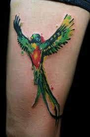 quetzal bird tattoo