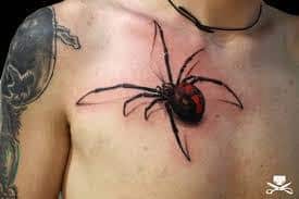 35 Spider Tattoos that will get you all tangled