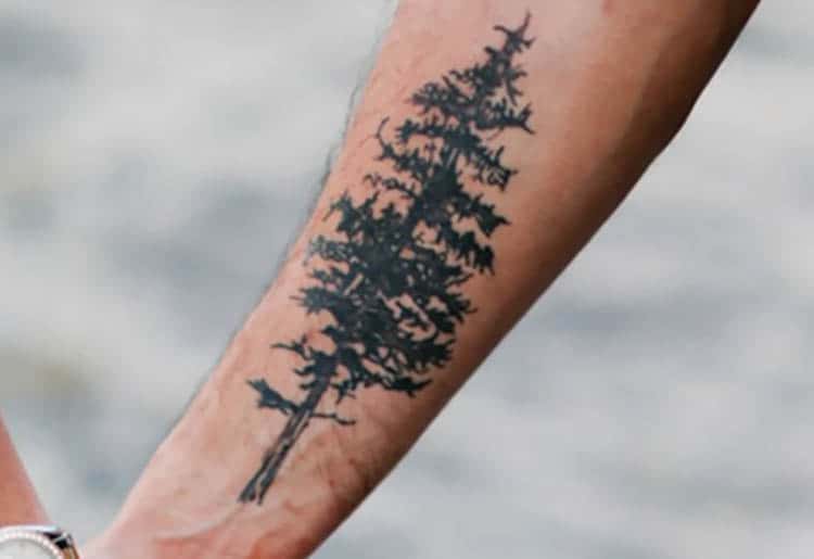 Top more than 64 pine tree tattoo on forearm super hot  thtantai2